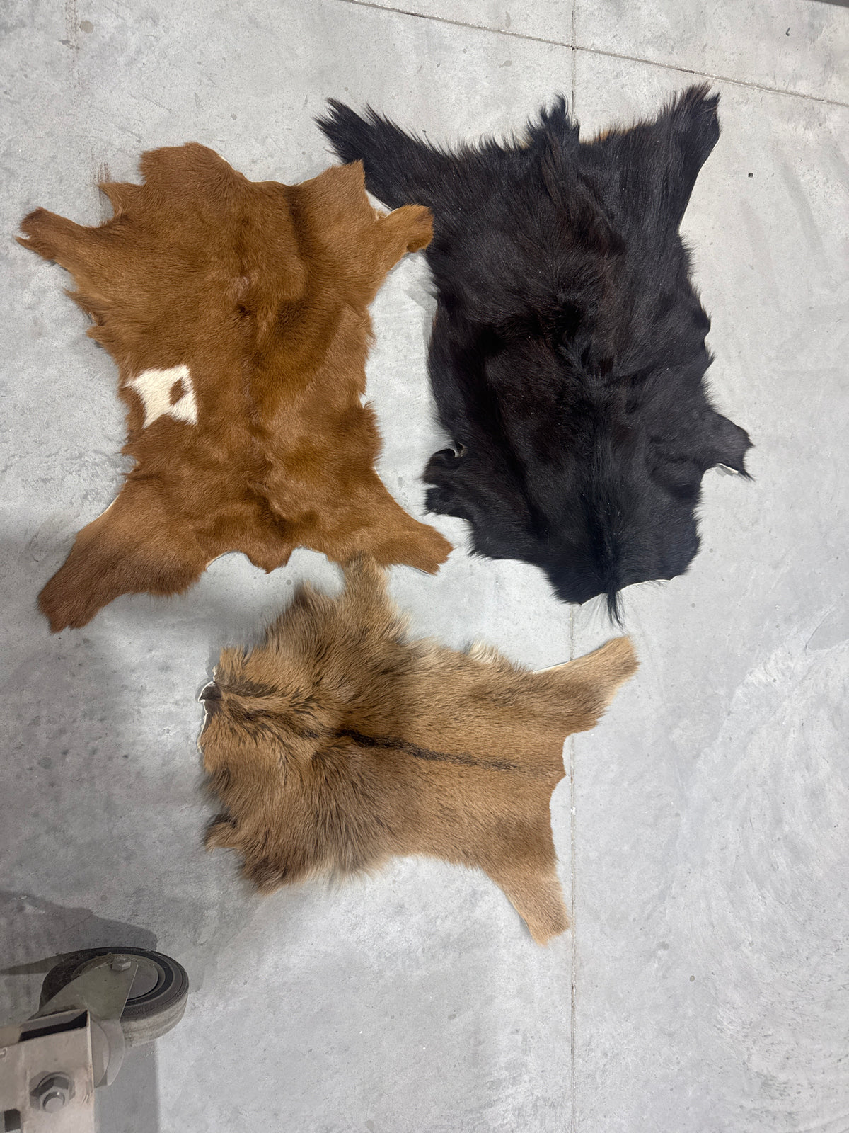 Assorted hide - bundle of 3